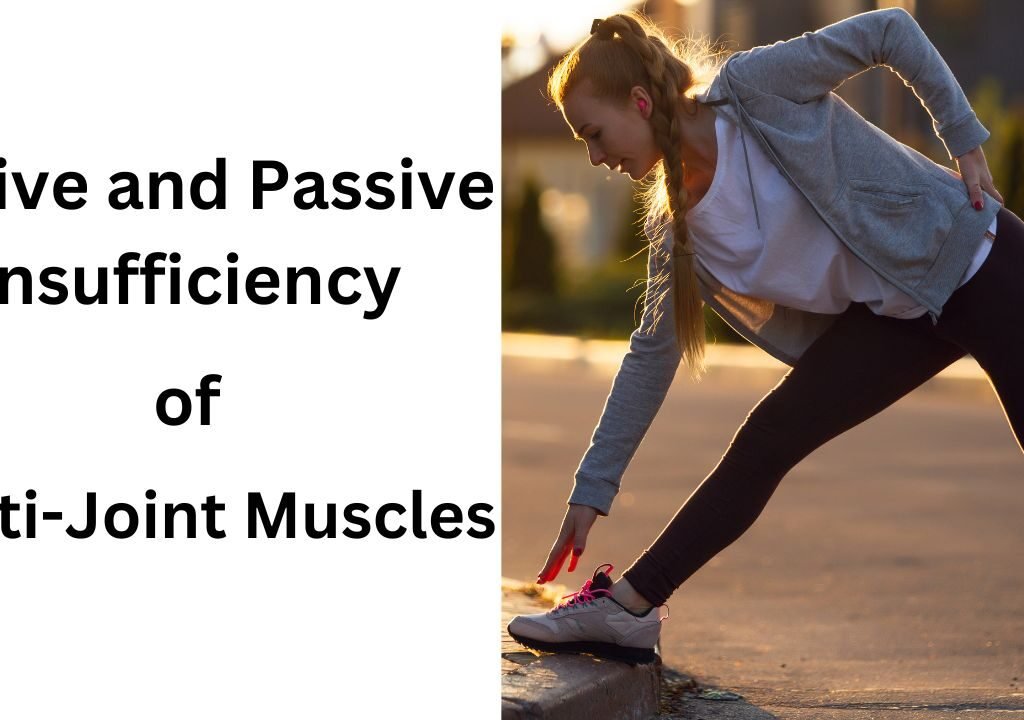 Active-and-Passive-Insufficiency-of-Multi-Joint-Muscles-3