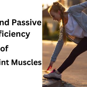 Read more about the article Understanding Active and Passive Insufficiency in Multi-Joint Muscles