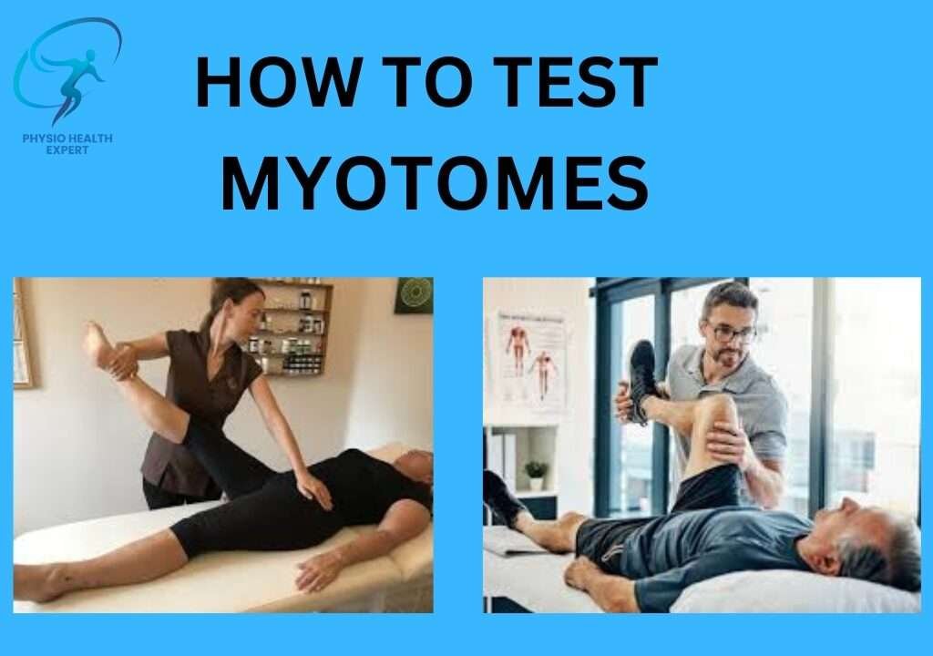 How to Test Myotomes