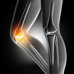 pain knee joint