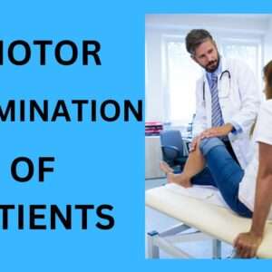 Read more about the article Motor Examination of Patients (2024)-Guide