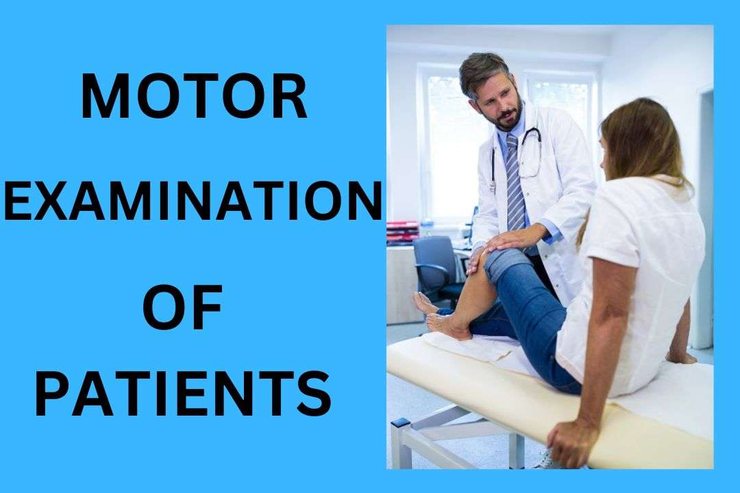 You are currently viewing Motor Examination of Patients (2024)-Guide