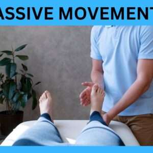 Read more about the article What are Passive Movements[The Best Guide 2024]