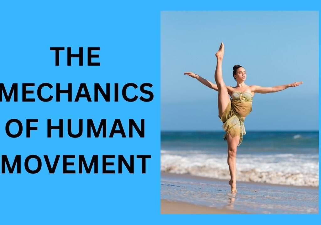 The Mechanics Of Human Movement