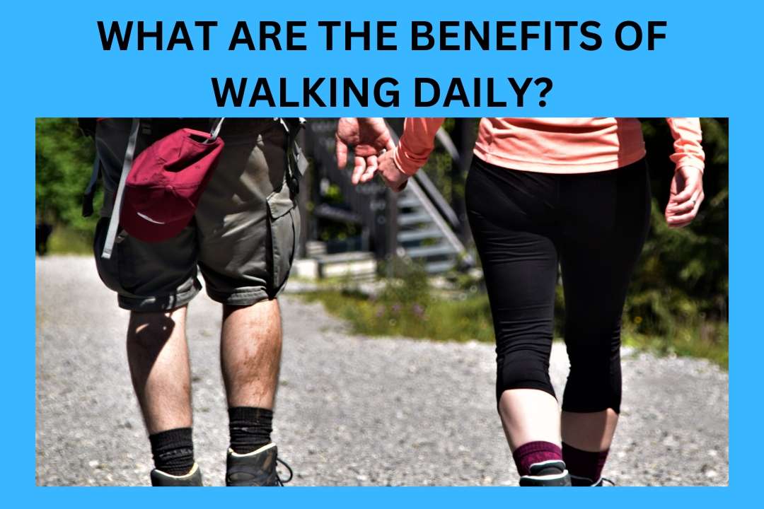 What are Benefits of Walking Daily? [Best Knowledge 2023] - Physio ...