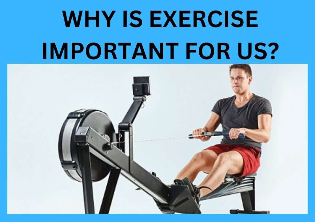 Why Is Exercise Important For Us?