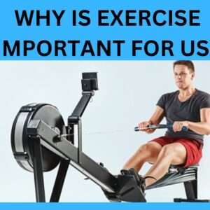 Read more about the article Why Is Exercise Important For Us? (2024)