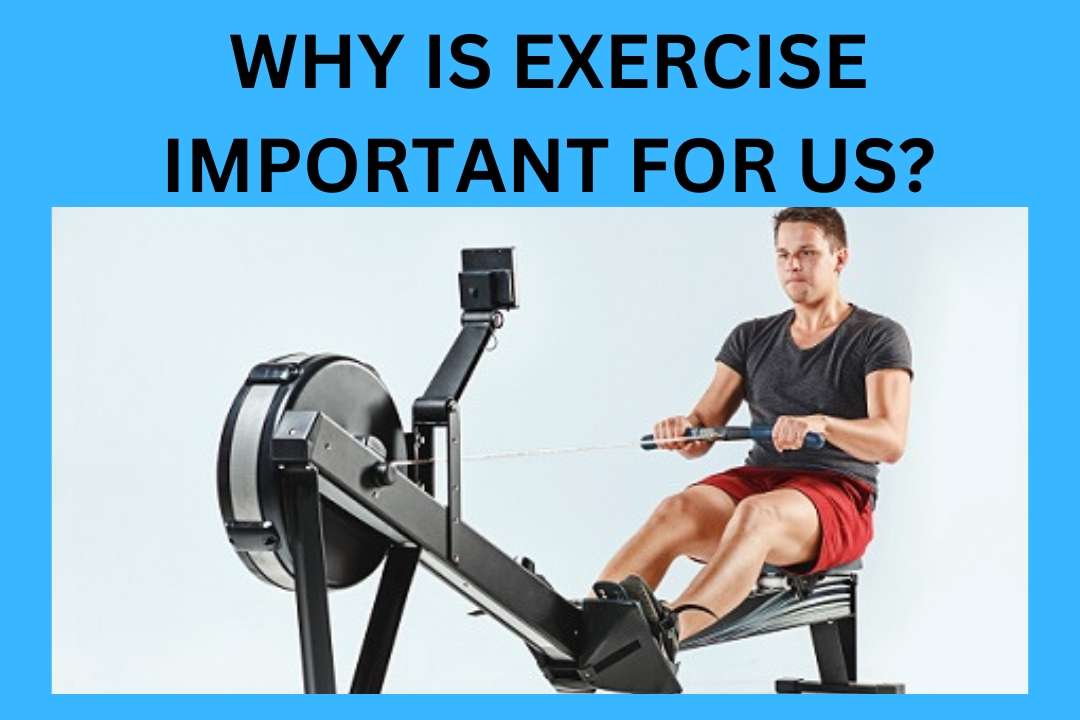 You are currently viewing Why Is Exercise Important For Us? (2024)