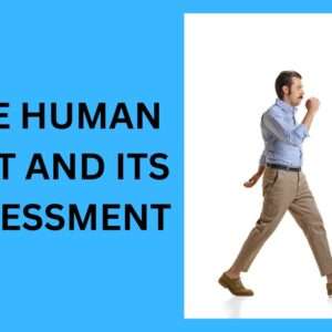 Read more about the article The Human Gait And Its Assessment (2024)