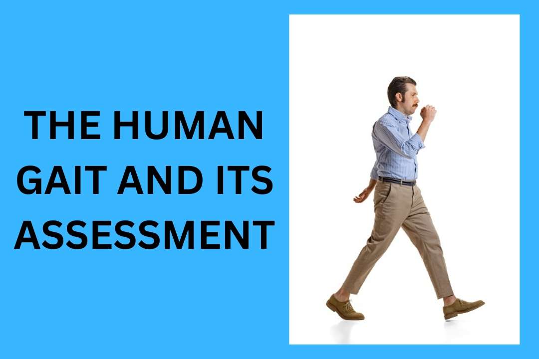 You are currently viewing The Human Gait And Its Assessment (2024)