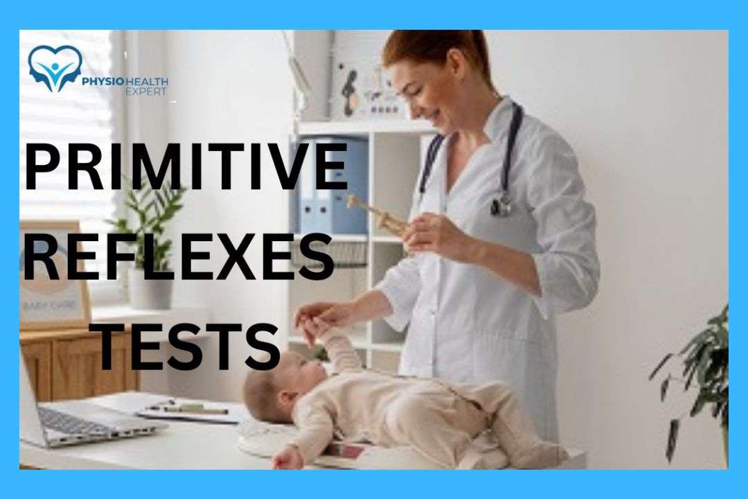 You are currently viewing Primitive Reflexes Tests [The Best Illustration 2023]