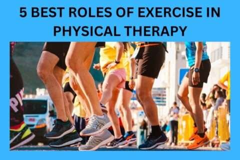 5 Best Roles Of Exercise In Physical Therapy