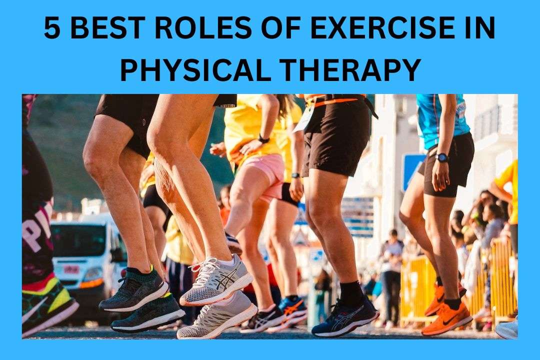 You are currently viewing 5 Best Roles Of Exercise In Physical Therapy