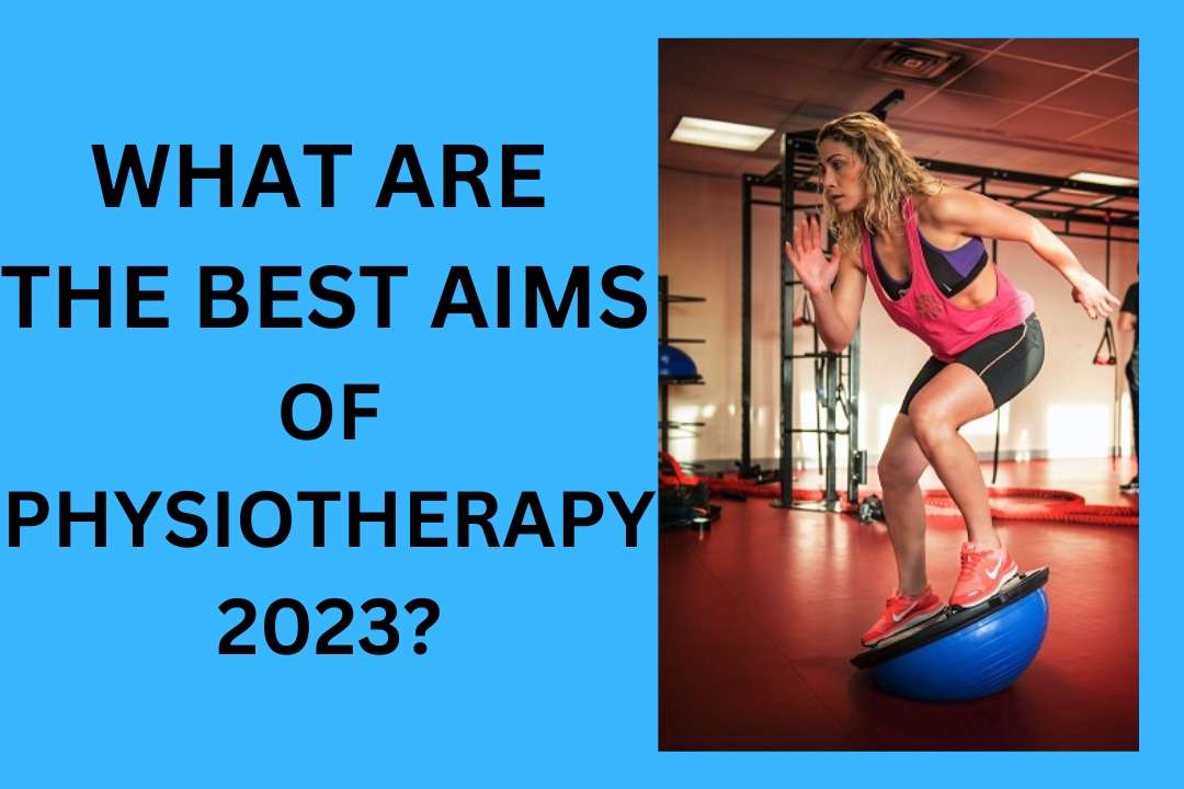 Read more about the article What Are The Best Aims Of Physiotherapy 2024?