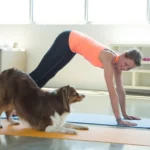 Benefits of the Downward Dog Pose: Strength, Flexibility, and Recovery